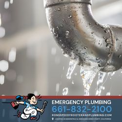Ron's Speedy Rooter & Plumbing Repair
