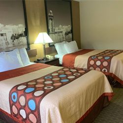 Super 8 by Wyndham Liverpool/Clay/Syracuse Area - Guest room