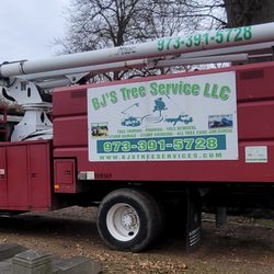 BJS Tree Service