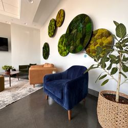 Molldrem Family Dentistry - Waiting area