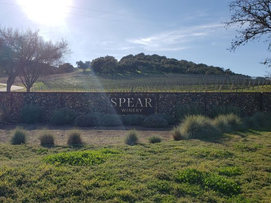 Spear Vineyards and Winery by null