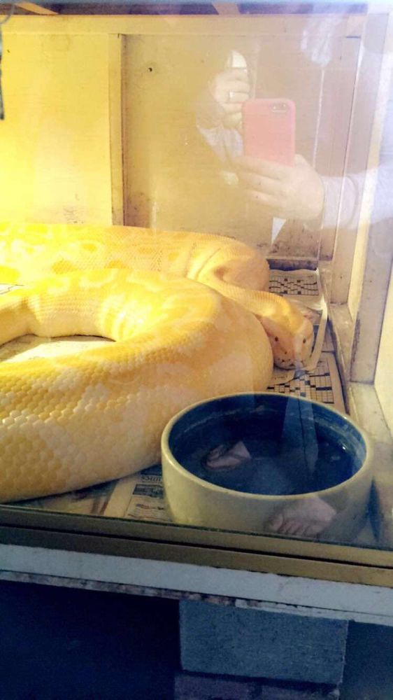 Rainbow Birdland & Pet Center II Image