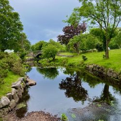 Gap of Dunloe - Gap of Dunloe