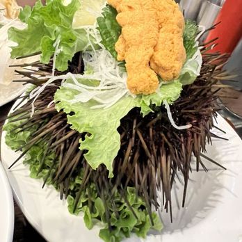 Kuni Sashimi House - Raw Sea urchin, extra corporealized.  So fresh, so creamy and rich. - Korean Near Me - Buena Park, California