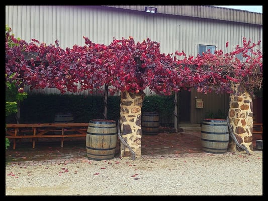 Langmeil Winery - Home of Barossa Valley's Oldest Shiraz Vineyard by null