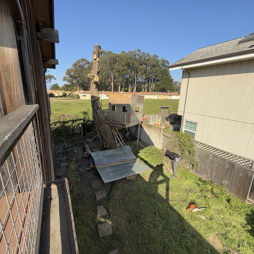 Highlands Tree Care - Project photo - Tree Services Near Me Highlands Tree Care - Project photo - Tree Services Near Me