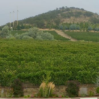 Belle Fiore Winery - The view from the villa - nice! - Wine Tours Near Me - Ashland, Oregon Belle Fiore Winery - The view from the villa - nice! - Wine Tours Near Me - Ashland, Oregon