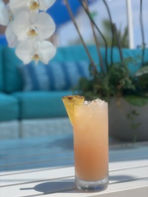 The Coconut Club by null