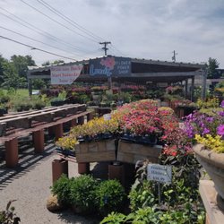 Louis' Flower Power Shop - Louis' Flower Power Shop: It's a sizable compact lot and the parking is easy!  It's in the same parking complex as the Fresh Market.