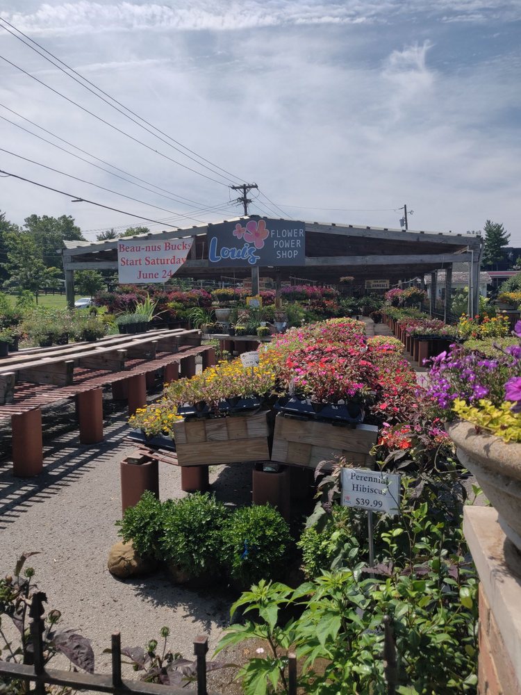LOUIS’ FLOWER POWER SHOP Updated September 2024 3389 Tates Creek Rd
