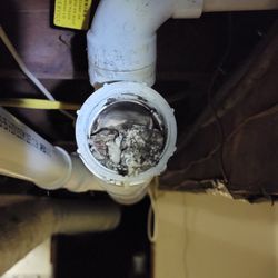 Doody Calls Drain Service