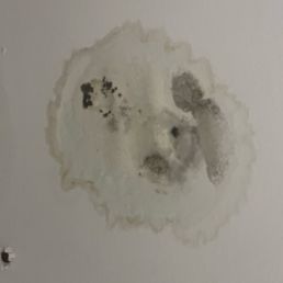 Molded ceiling