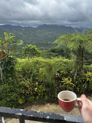 Sandra Farms Coffee by null