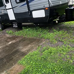 Riversedge Rv Park - Weeds
