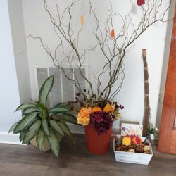 Wisteria Dental Care