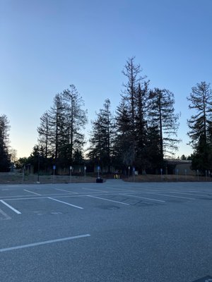 De Anza College by null