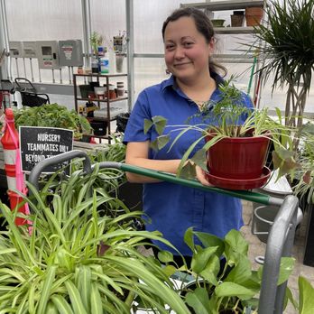 Moana Nursery - Sparks - Elona, at Moana nursery in Sparks. She lovingly repotted 6 of my plants. A Five Star Customer Service replanting experience. - Nurseries & Gardening Near Me - Sparks, Nevada Moana Nursery - Sparks - Elona, at Moana nursery in Sparks. She lovingly repotted 6 of my plants. A Five Star Customer Service replanting experience. - Nurseries & Gardening Near Me - Sparks, Nevada