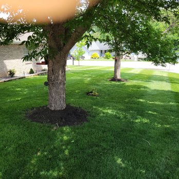 Lehenbauer's Lawncare - Let me make your yard, look as good as mine!!! - Lawn Services Near Me Lehenbauer's Lawncare - Let me make your yard, look as good as mine!!! - Lawn Services Near Me