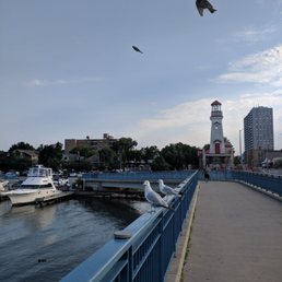 Lighthouse with some flying friends