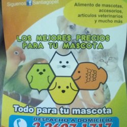 Santiago Pet - Datos