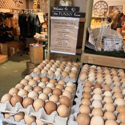 Marando Farms & Ranch - Farm fresh eggs