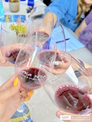 Alma Rosa Winery & Vineyards Tasting Room by null