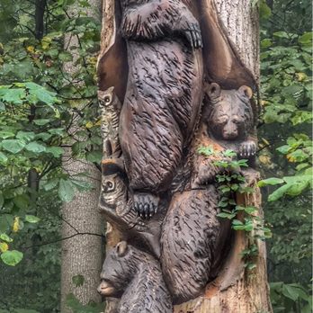 Bears Den - Bears - Hostels Near Me - Bluemont, Virginia Bears Den - Bears - Hostels Near Me - Bluemont, Virginia