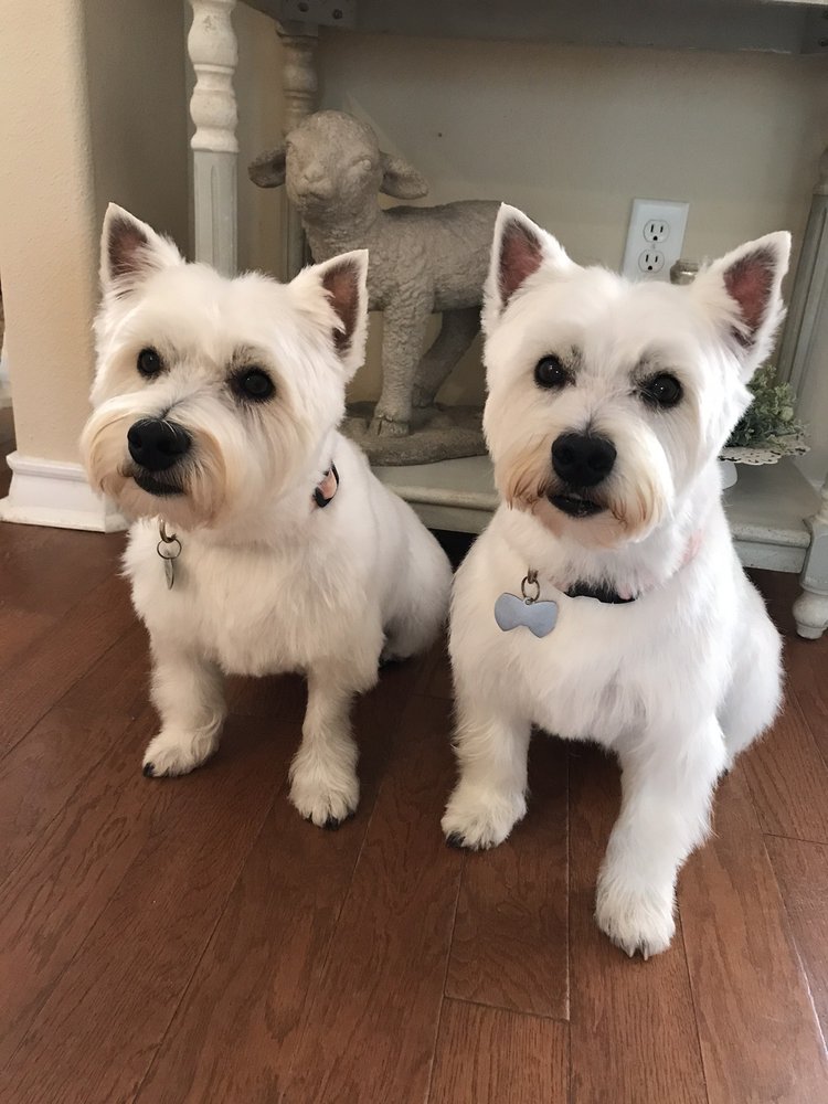 C&C TOPKNOT’CH SPAW Updated September 2024 1017 Fourth St, Longview