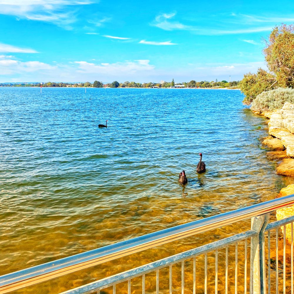 OBSERVATION DECK Updated August 2024 S Perth Esplanade, South Perth Western Australia