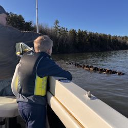 Rift and Ripple Island Tours - Early Season 2025 took the kids out to see the Fedora