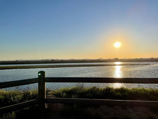 Bolsa Chica Ecological Reserve by null