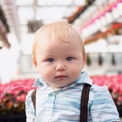 Duneside Photo - Mommy and me session at Countryside Greenhouse!