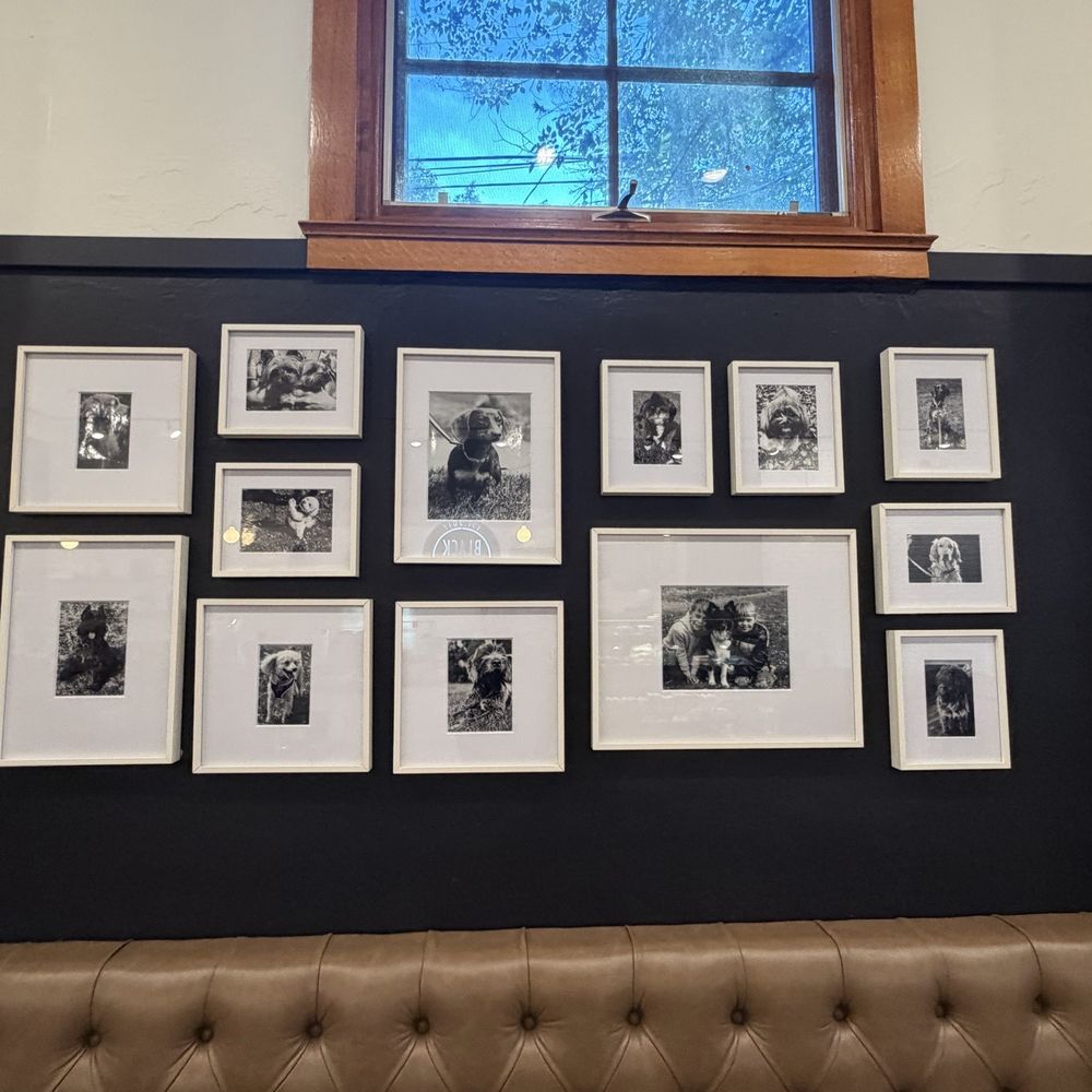 Black Dog Coffee House - Great art! - Coffee & Tea Near Me - Billings, Montana