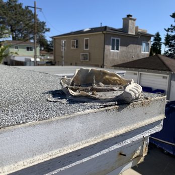Dewey Pest & Termite Control - Broken statue - Pest Control Near Me - San Diego, California