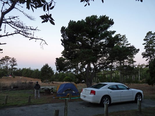 Salt Point State Park by null