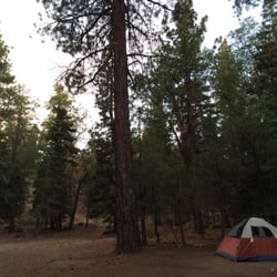 Buttercup Group Campground