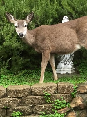 SEQUOIANS CLOTHES FREE CLUB Updated August 2025 23 Photos 28