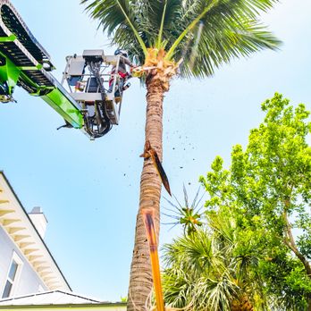 Perfect Cut Landscaping - Landscaping Near Me - Boynton Beach, Florida Perfect Cut Landscaping - Landscaping Near Me - Boynton Beach, Florida