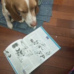 Everyone Comics And Books