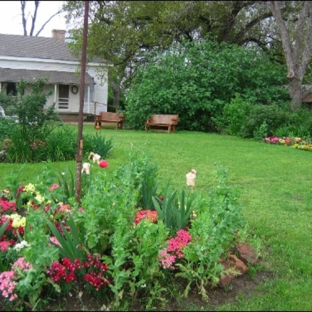 Boggy Creek Farm - Farmers Market Near Me - Austin, Texas Boggy Creek Farm - Farmers Market Near Me - Austin, Texas