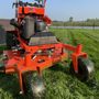 Photo of Vibrant Lawn Solutions