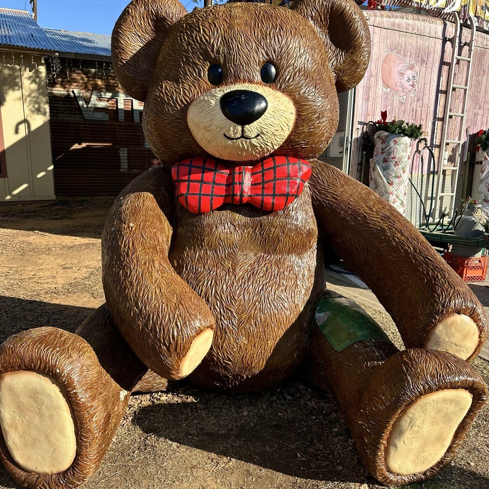 North Pole Express - Photo-op with the bear - Amusement Parks Near Me - Grapevine, Texas North Pole Express - Photo-op with the bear - Amusement Parks Near Me - Grapevine, Texas