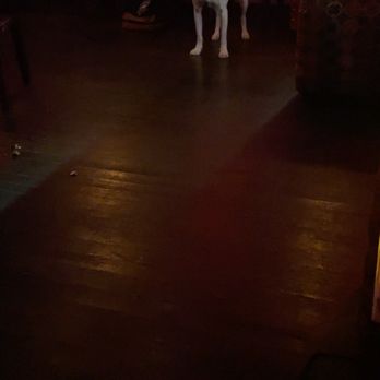 Sugar Lounge - Every other time or so there is at least one dog in the bar; a bit too loud for pooch if you ask me ;"( - Lounges Near Me - San Francisco, California