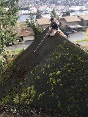 Whatcom Gutter & Roof Cleaning on Yelp