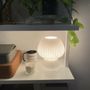 Photo of West Elm