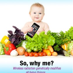 Healthy Home Evaluations, EMF & Radon Lady - visit bioinitiative.org for independent review on the science and studies showing the harmful adverse effects on health