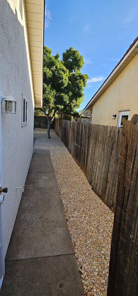 ZR Pro Landscaping  - tree service in Sacramento, CA