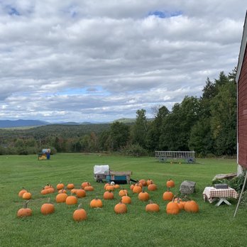 Douglas Hill Orchard - Views from stand - Farmers Market Near Me - Sebago, Maine Douglas Hill Orchard - Views from stand - Farmers Market Near Me - Sebago, Maine