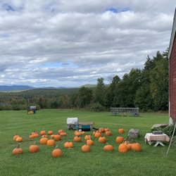 Douglas Hill Orchard - Views from stand