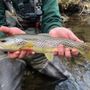 Photo of Trout Zone Anglers
